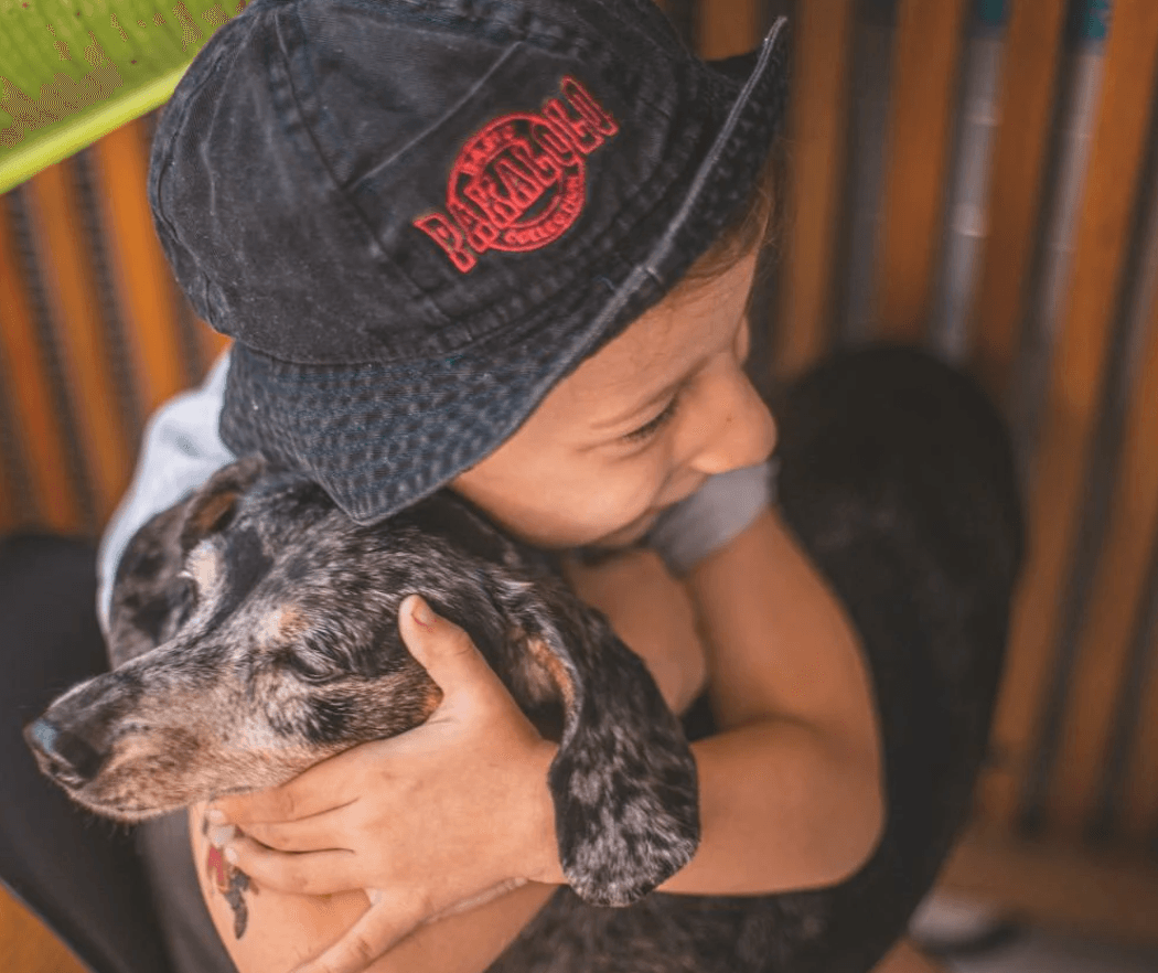 Child wearing a baseball cap showing affection to a senior dachshund