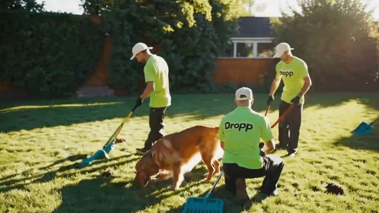 DROPP professional team in bright uniforms performing yard cleaning services with a friendly dog present