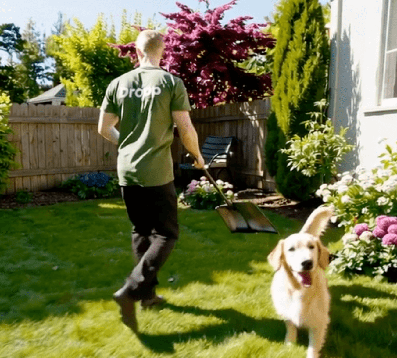 DROPP service professional in a green uniform maintaining a beautiful backyard with a happy golden retriever